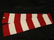 Charter Day Scarf, 2012