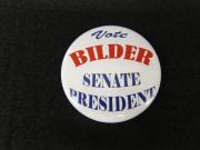 Senate Campaign Button, c.2004