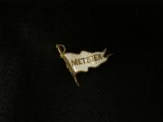 Metzger Institute pin