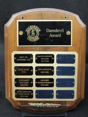 Daredevil Award plaque, 2001-2007