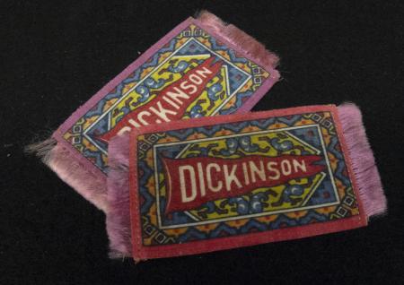 Pink & Blue Small Dickinson Rug, 1910 