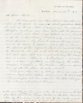 Letters from George Lawrence to Spencer Baird (Drafts)