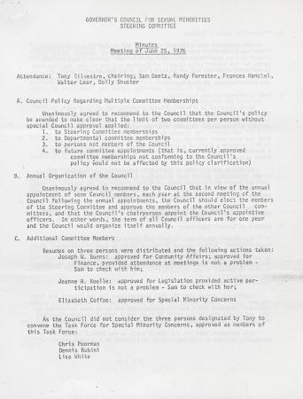 Steering Committee Meeting Minutes - June 25, 1976