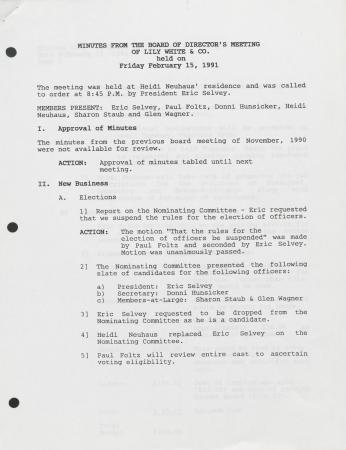 Lily White & Company Board of Directors Meeting Minutes - 1991