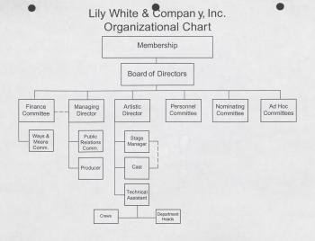 Lily White & Company Organizational Chart - 1995