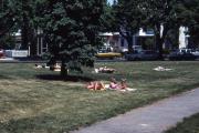Students sunbathe, c.1982