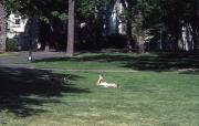 Nap in the grass, c.1982