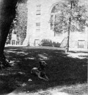 Dick the Dog lounging, 1901