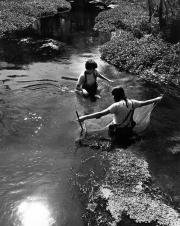 Students collecting river samples, 1971
