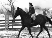 Laura Deleo riding a horse, 1981
