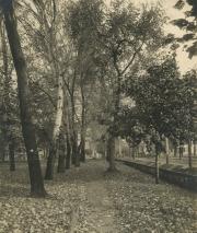 Lovers' Lane, c.1890