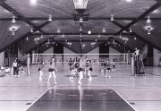 Volleyball Team, c.1980