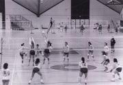 Volleyball game, 1988