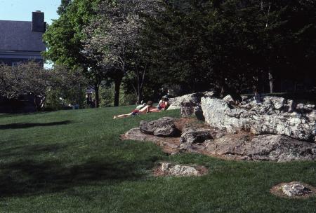 Sunbathing, c.1982