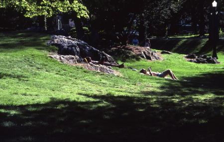 Reading in the grass, c.1982