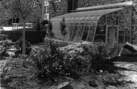 Dana Hall greenhouse, c.1980 