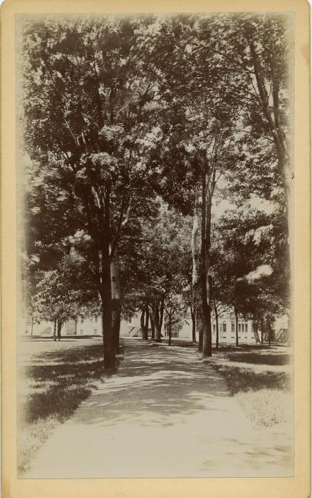 Path to West College, c.1895