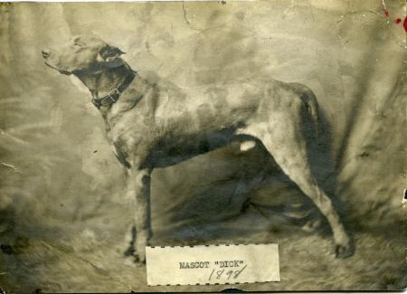 Dick the dog, college mascot, 1898