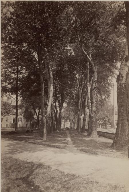 Lovers' Lane, 1895
