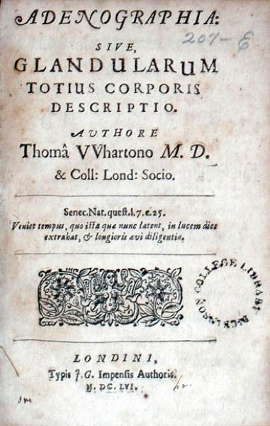 Adenographia: Sive, Glandularum Totius Corporis Descriptio