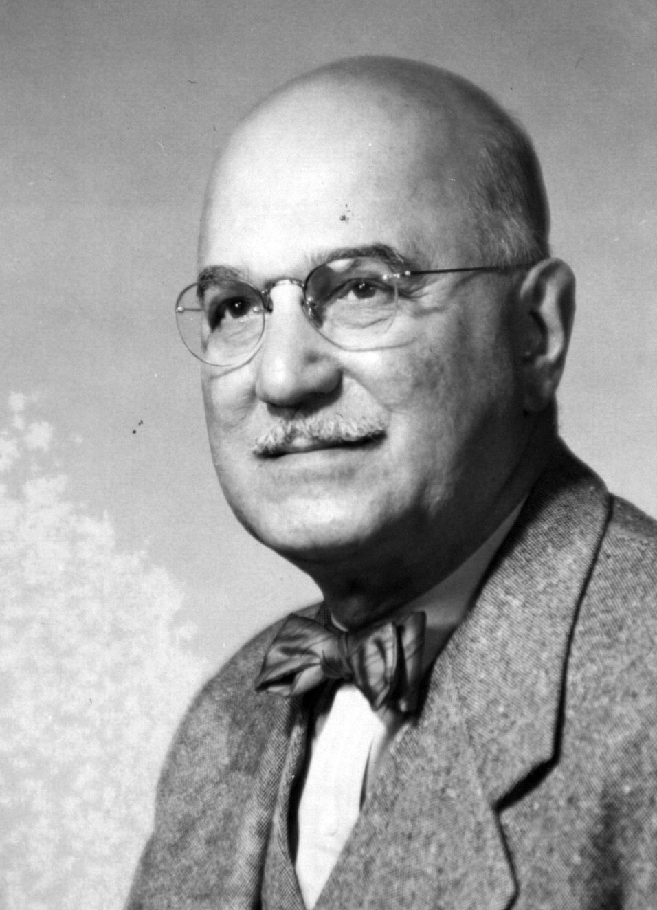 Montagu F. Modder, c.1955