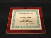 Dickinson College Service Recognition Plaque, 1976