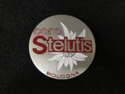 Coro Stelutis Male Choir Button, 1983