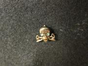 Theta Nu Epsilon pin