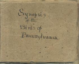 Synopsis of the Birds of Pennsylvania compiled by Spencer F. Baird