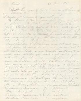 Letters from George Lawrence to Spencer Baird (Drafts)