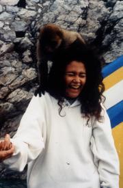 Wildlife, c.1993