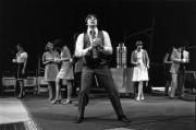 Follies, "How to Succeed in Business Without Really Trying," 1976