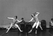 Fencing competition, 1993