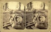 Bosler Hall Griffins Carvings, c.1886