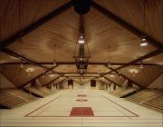 Kline Center on Opening Day, 1980