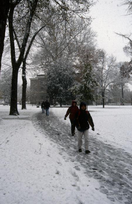 Academic Quad, 1995