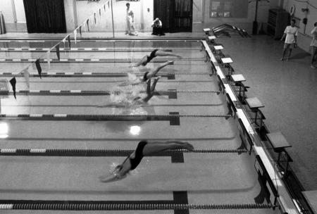 Swimmers dive into the pool, 1991