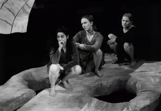 Mermaid Players, "The Cure at Troy," 1998