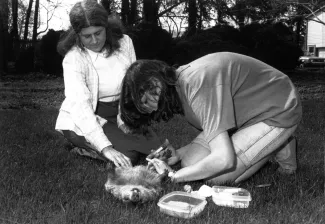 Biology fieldwork, 1991