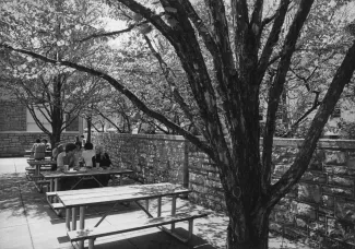 HUB Snack Bar, outside seating, 1983