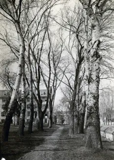 Lovers' Lane, c.1890