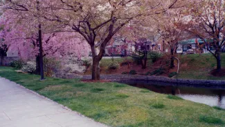 Kline Center, pond, 2000