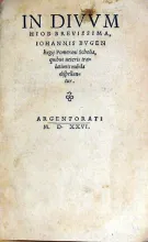 In Divvm Hiob Brevissima