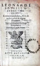 Commentarioli duo, Alter de medici, alter de Aegroti munere