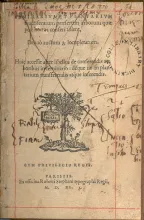 Seminarvm Et Plantarivm fructiferarum...